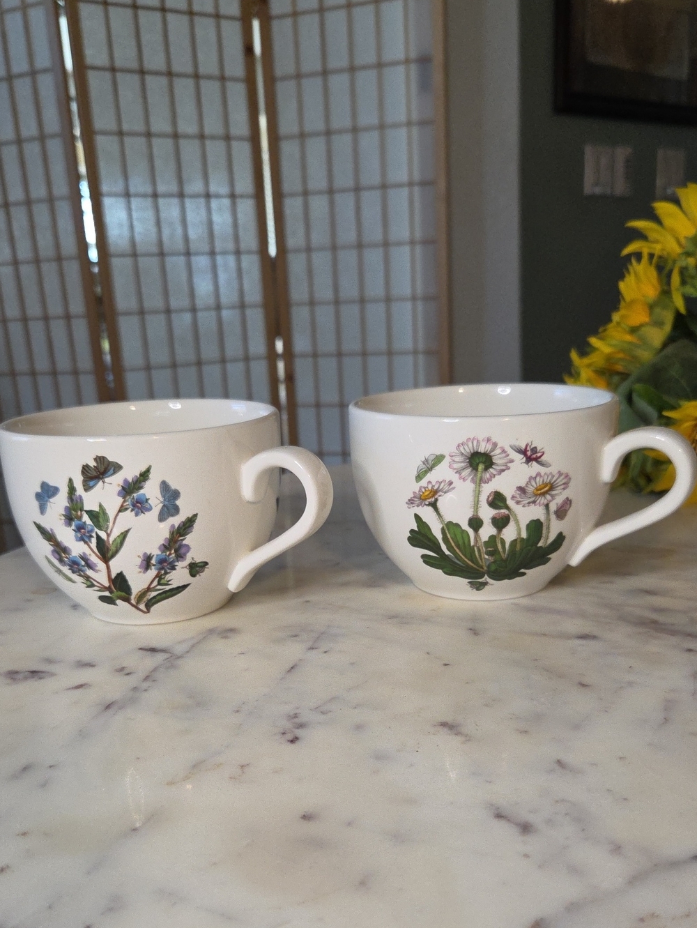 VTG Portmeiron Chili Cups Botanical Garden 5" RARE